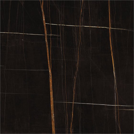 Sahara Noir